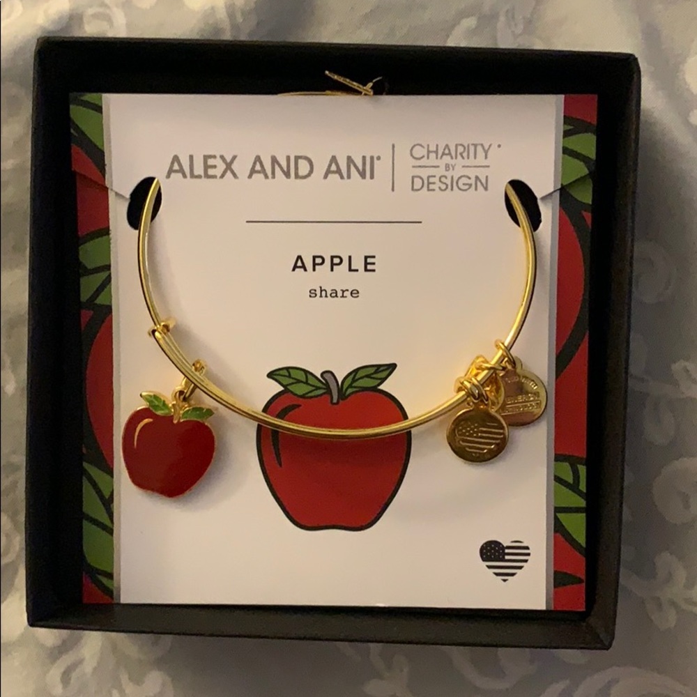 Alex and Ani bracelet